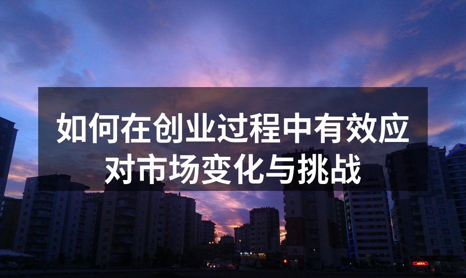 如何在创业过程中有效应对市场变化与挑战
